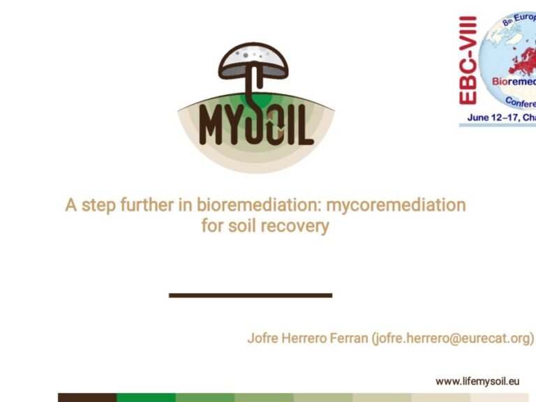 Screenshot_2022-06-14-19-25-16-754_cn.wps.xiaomi.abroad.lite