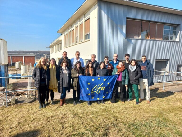 MicrosoftTeams-image (7) (1)